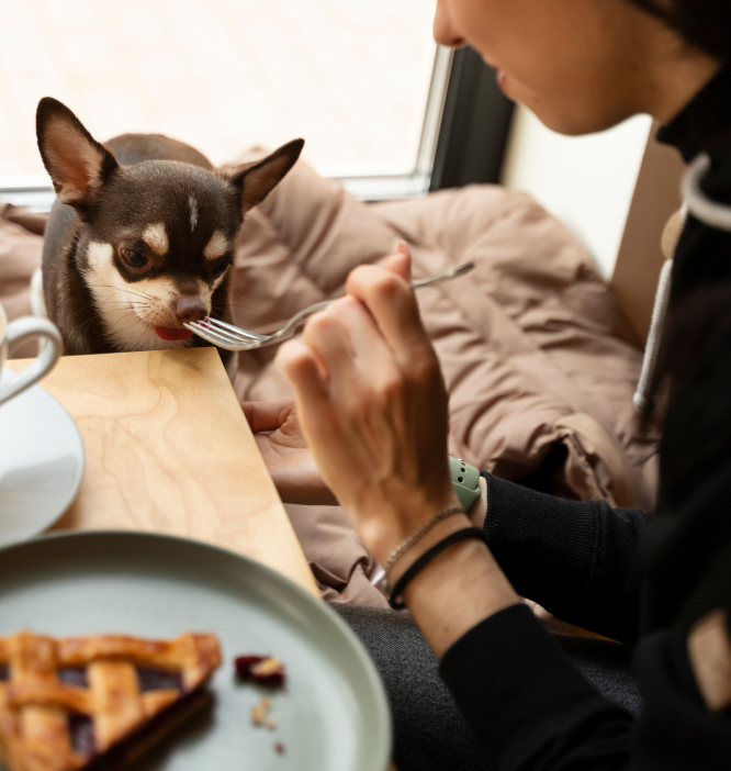 Happy pet owners at a community meetup
